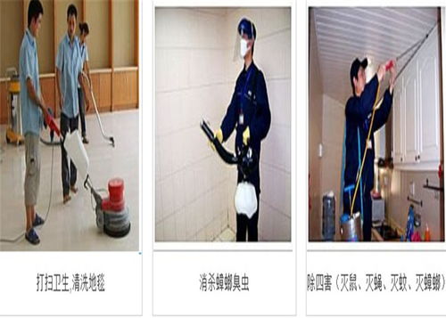 工廠保潔地板清洗 西麗工廠保潔 龍興舊空調回收服務