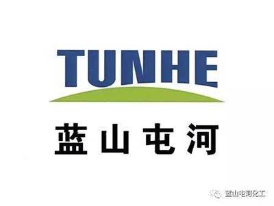 藍山屯河聚酯公司榮獲“自治區綠色工廠”稱號，推動綠色可持續發展